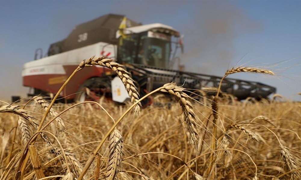 عقب الاتفاق الروسي – الأوكراني.. أسعار الحبوب تهبط