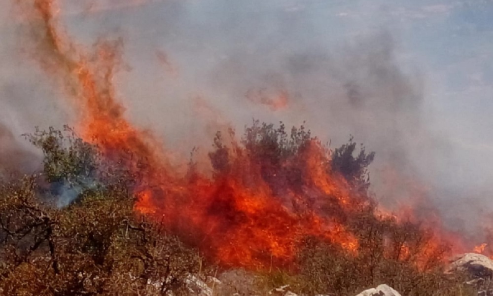 وزير الزراعة يطلب تدخل مروحيات الجيش في حريق كفررمان