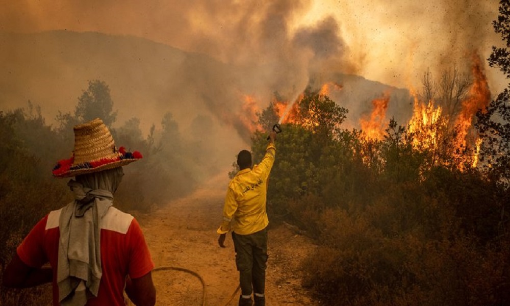 المغرب: احتواء 50% من حرائق الغابات في شمال البلاد