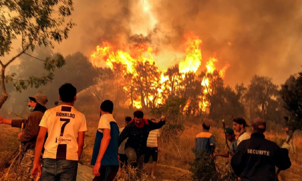 الحرائق تلتهم غابات الجزائر