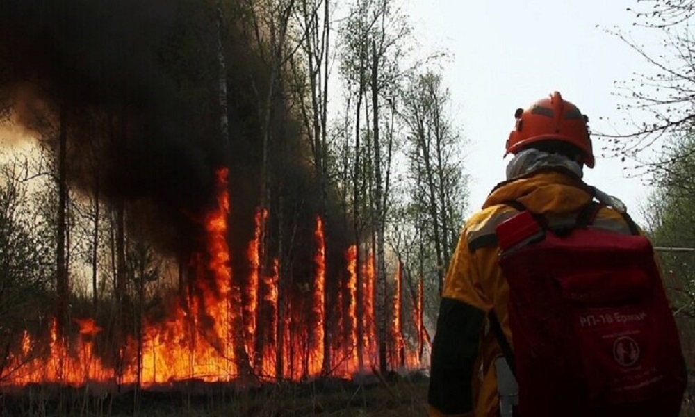 إخماد 52 حريقًا في غابات روسيا