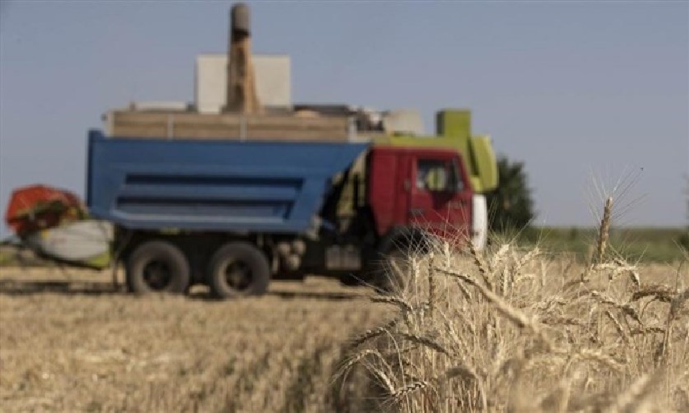 لبنان يحاول “توطين” زراعة القمح لتمتين الأمن الغذائي