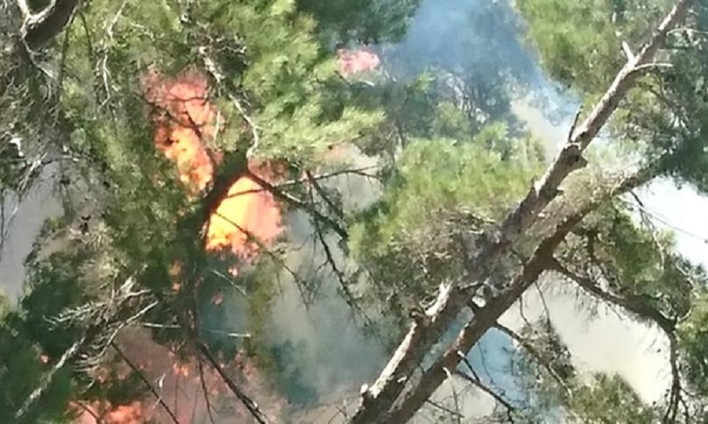 تجدد الحريق في وادي حلسبان في عكار