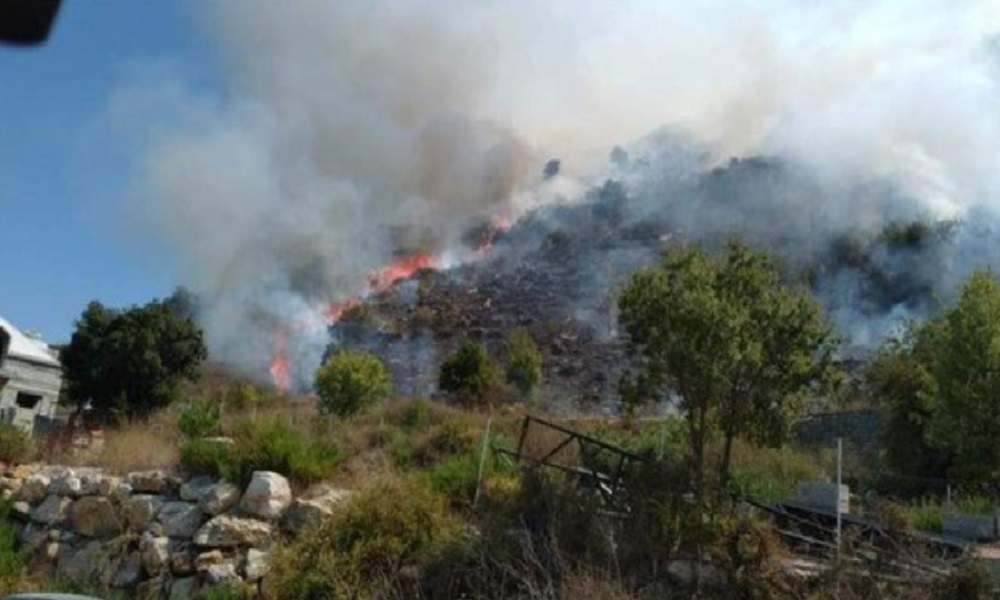 حريق “غير بريء” التهم أكثر من 3000 شجرة!