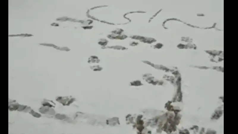 إيرانيون يكتبون “الموت لخامنئي” بالثلوج
