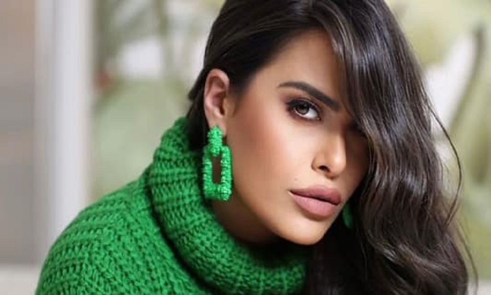 رغم اعتذارها… منع مغنية لبنانية من إقامة حفلات في مصر