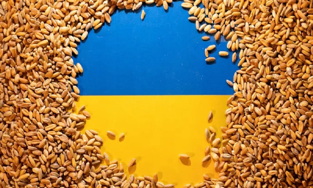 سفارة أوكرانيا: لوقف محاولات الكرملين عرقلة “اتفاقية الحبوب”