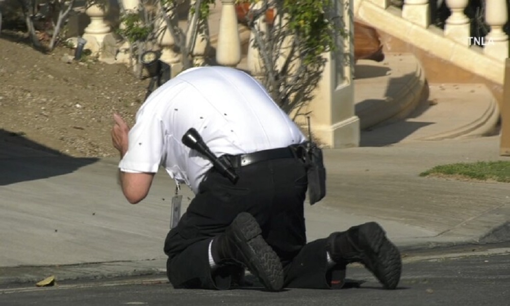 بالفيديو: سرب نحل يهاجم ضابطًا في لوس أنجلوس