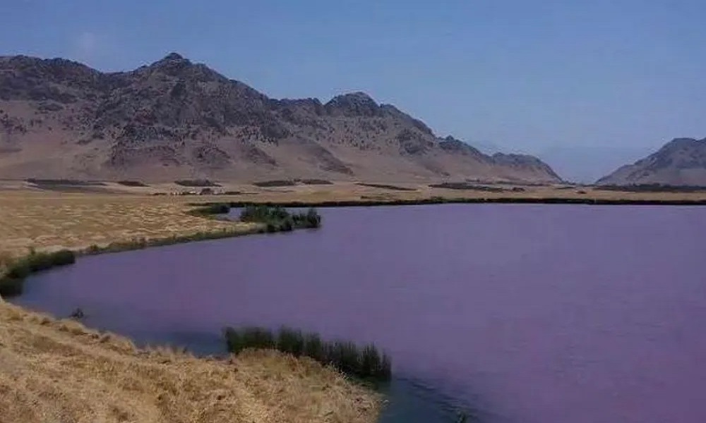 بحيرة “غريبة” في العراق: مياه ملوّنة ورائحة كريهة