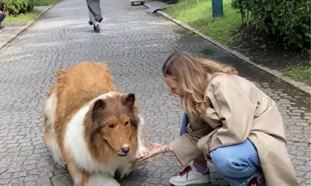 ياباني ينفق 22 ألف دولار ليتحول إلى كلب! (فيديو)