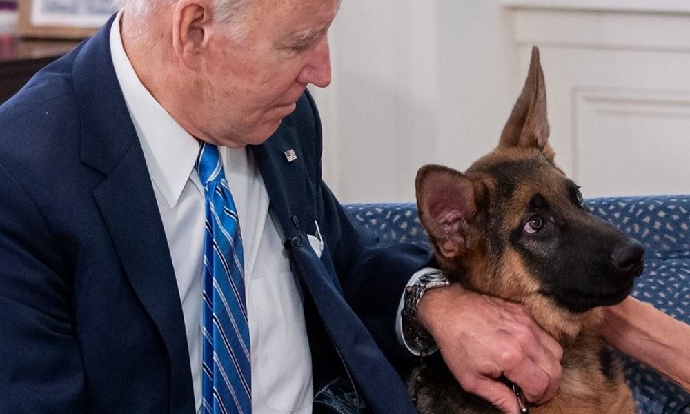 كلب بايدن يُهاجم موظّفي البيت الأبيض