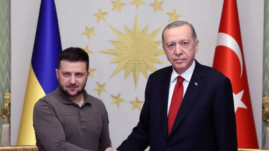 أردوغان بعد لقائه زيلينسكي: عودوا لمحادثات السلام