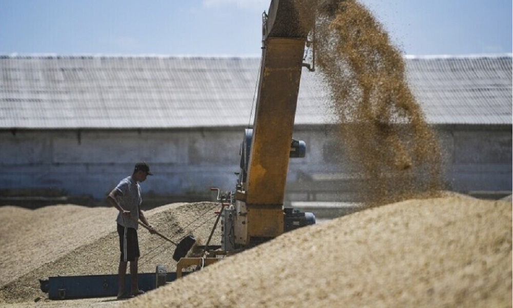 كييف: صادرات أوكرانيا من الحبوب تراجعت