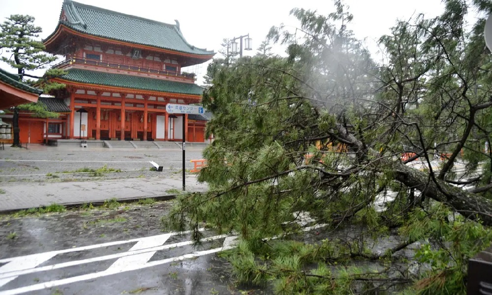 إعصار يضرب اليابان… ومئات السكان بلا كهرباء