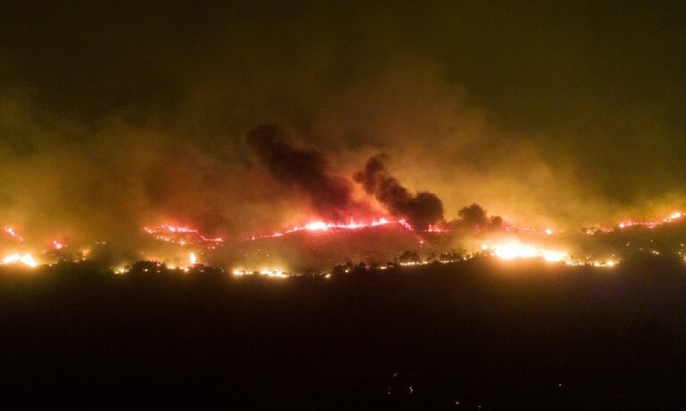تركيا… حرائق الغابات تهدد المباني السكنية
