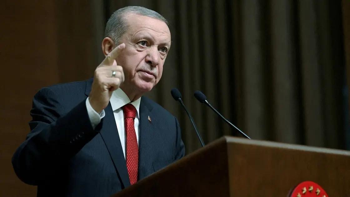 الرئيس التركي: قد أزور مصر
