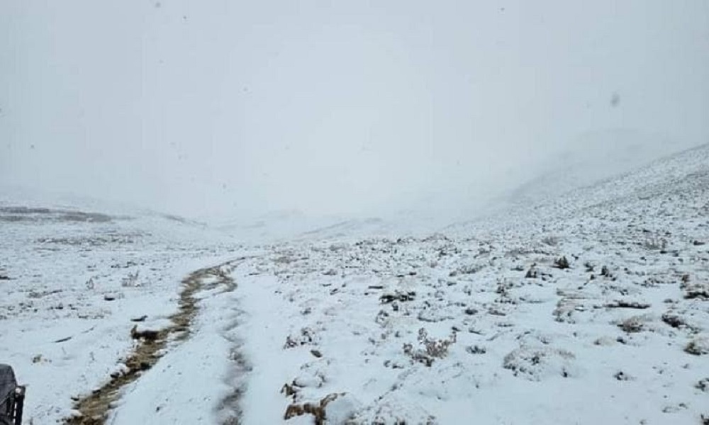 لبنان يلبس “الثوب الأبيض” (صورة)