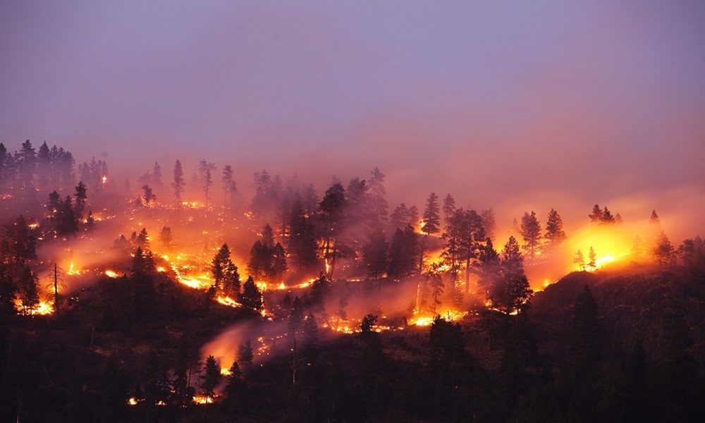 ارتفاع عدد قتلى حرائق غابات تشيلي إلى 131