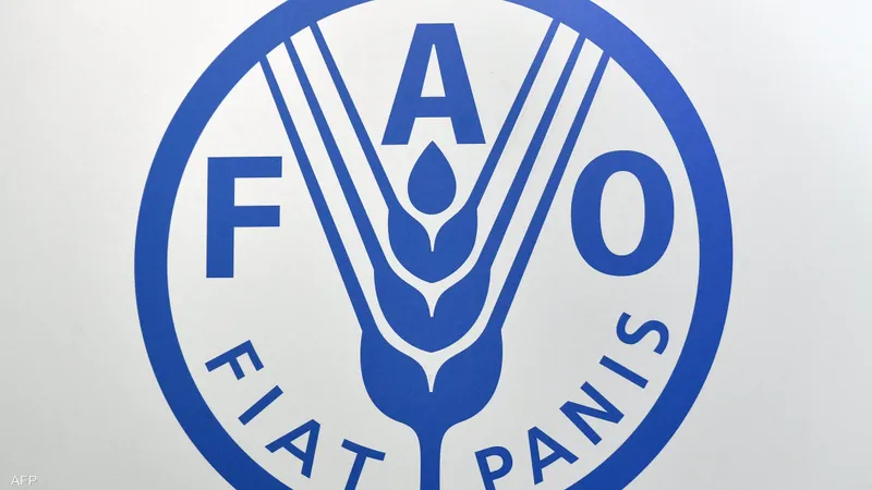 FAO: أزمة البحر الأحمر سترفع أسعار المواد الغذائية