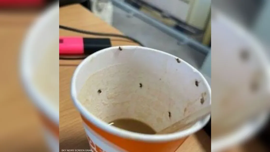 قهوة بالحشرات!