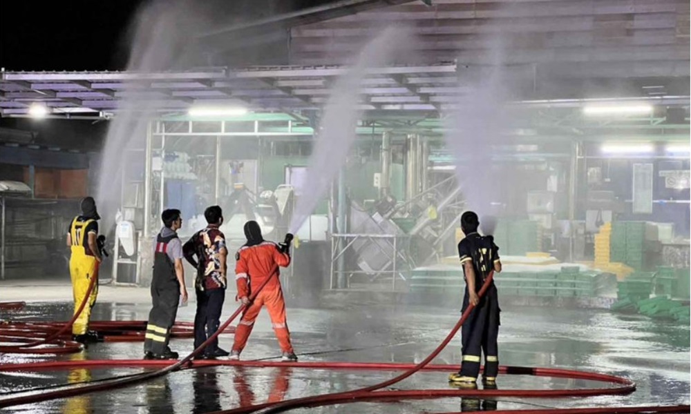 إصابات خطيرة إثر تسرب الأمونيا من مصنع في تايلاند (فيديو)