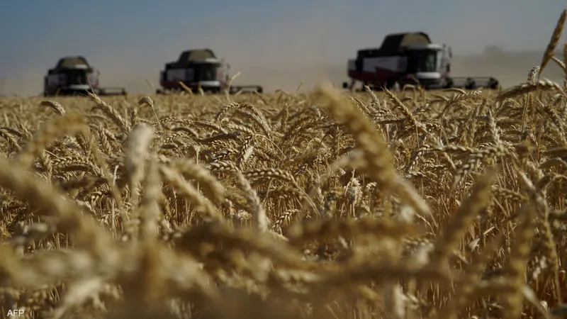 تراجع أسعار صادرات القمح الروسي للأسبوع الرابع على التوالي