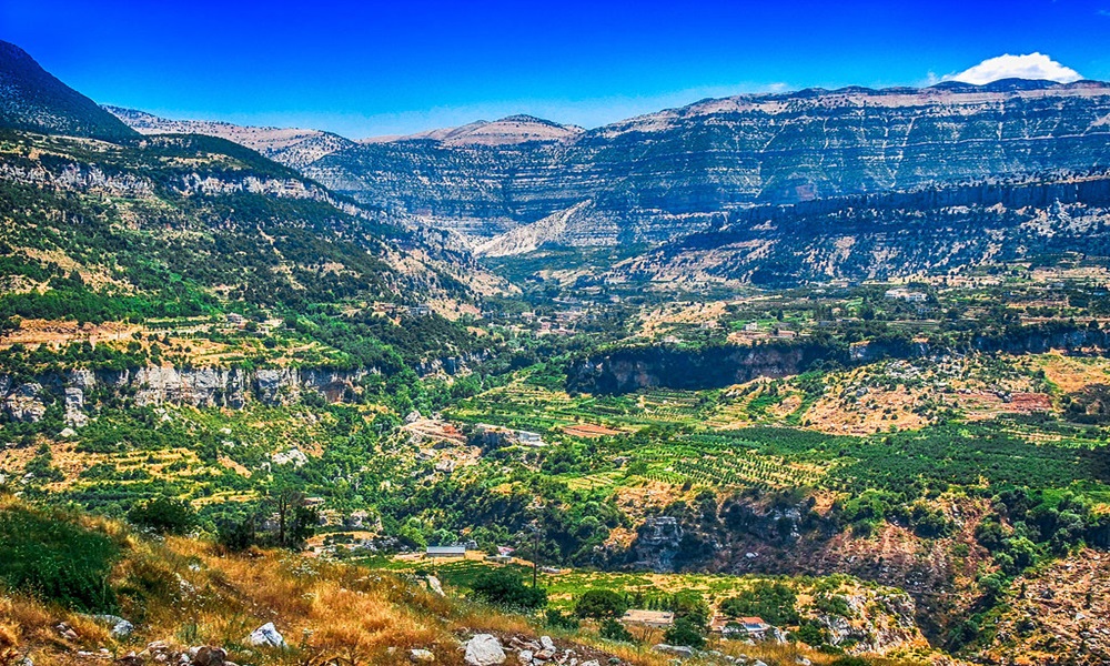 بالتفاصيل- نازحون مسلحون يستولون على الأراضي في شاوية أفقا