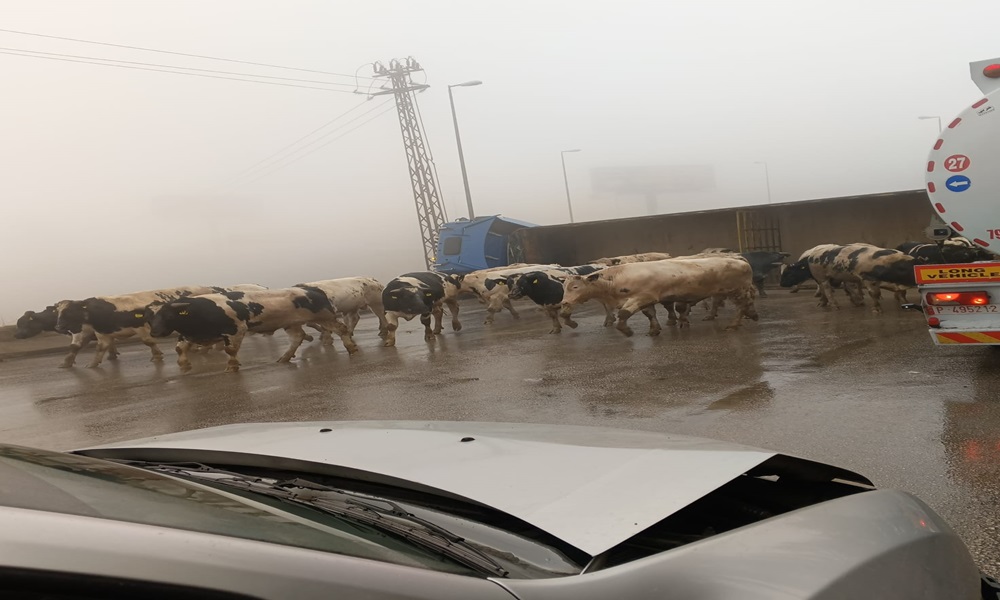 بالفيديو: شاحنة تقطع طريق ضهر البيدر