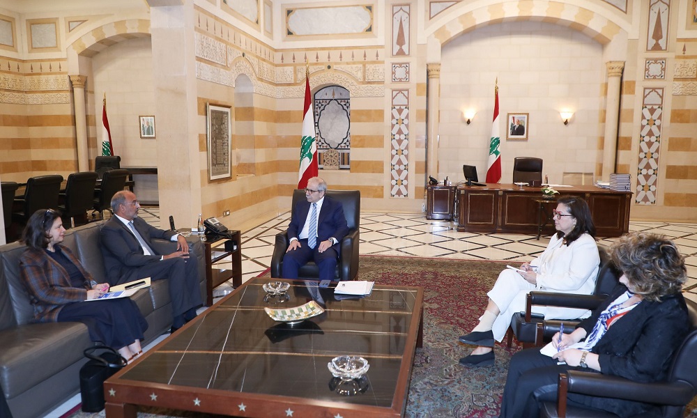 برنامج مساعدة المناطق المتضررة جنوبًا على طاولة سلام