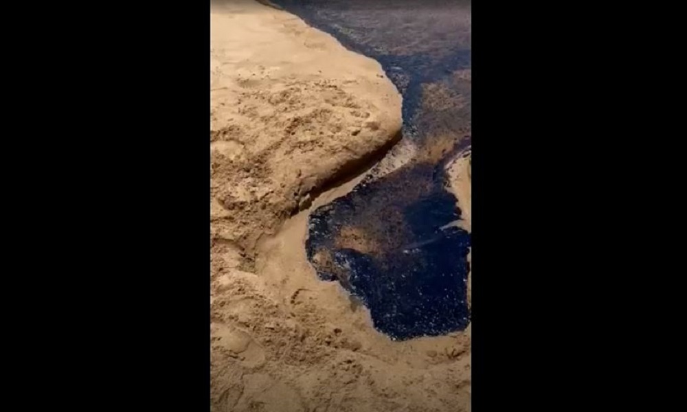 بالفيديو: تلوّث بيئي على شاطئ الجية