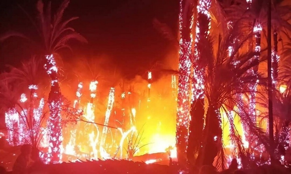 بالصور: حريق هائل يلتهم هكتارات من النخيل في المغرب