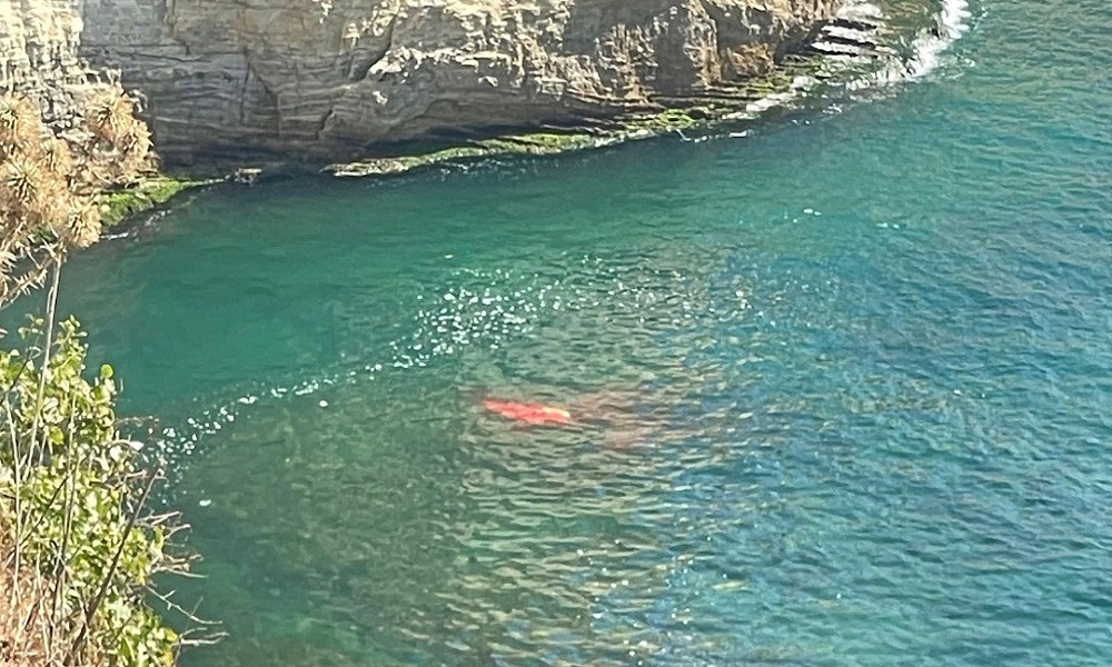 أثناء ممارسته السباحة على الروشة.. صدمه “لانش”!