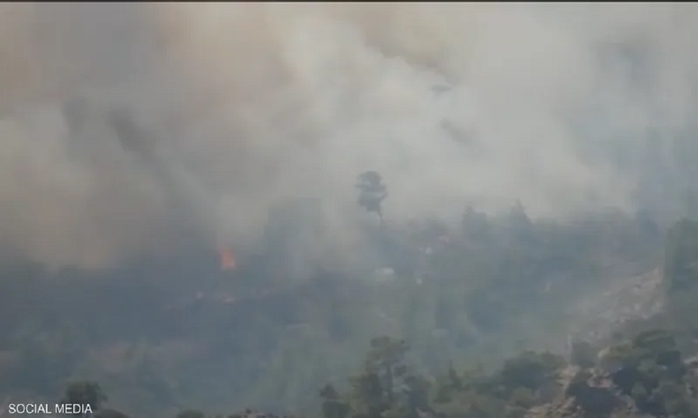 في تونس.. موجة حارة تتسبب بحرائق!