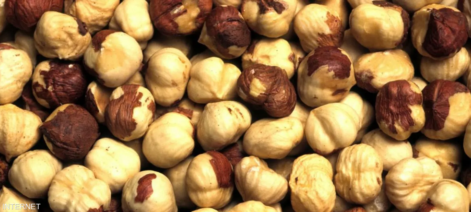 الصقيع يضرب محاصيل البندق في تركيا