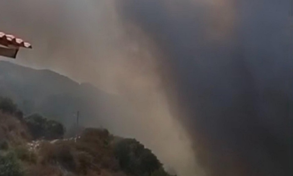 حريق كبير في وادي نهر الجوز… والأهالي يناشدون