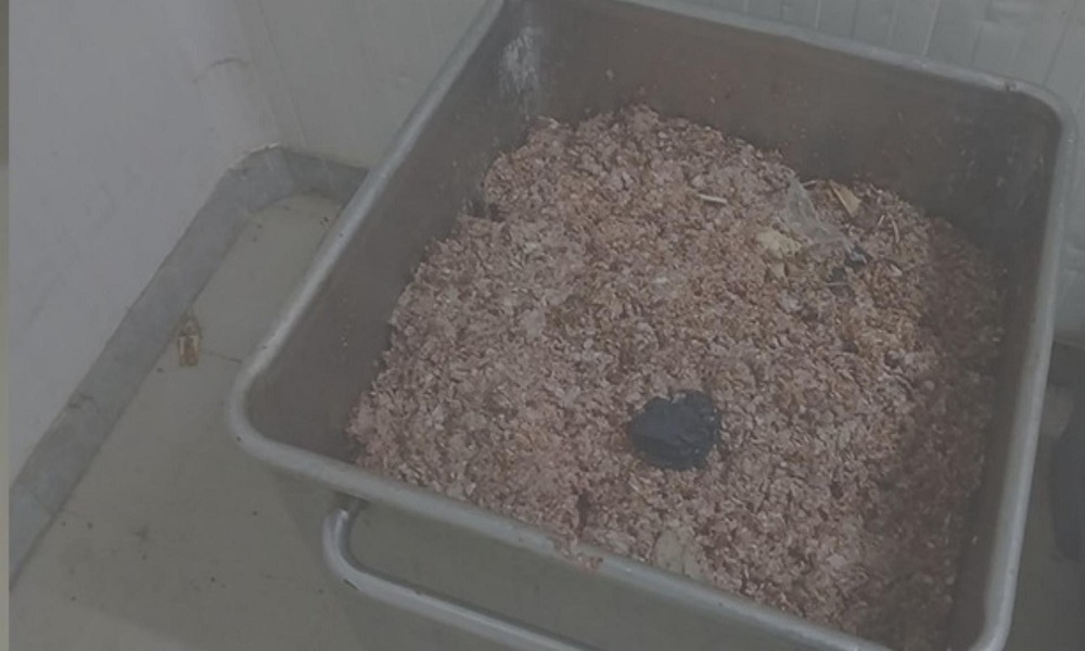 دجاج فاسد… إقفال مسلخ غير شرعي في البقاع