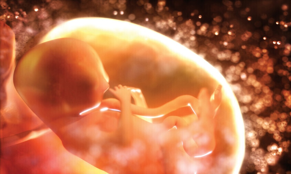 ميكروبات الأمهات تبني أدمغة الأطفال داخل الرحم