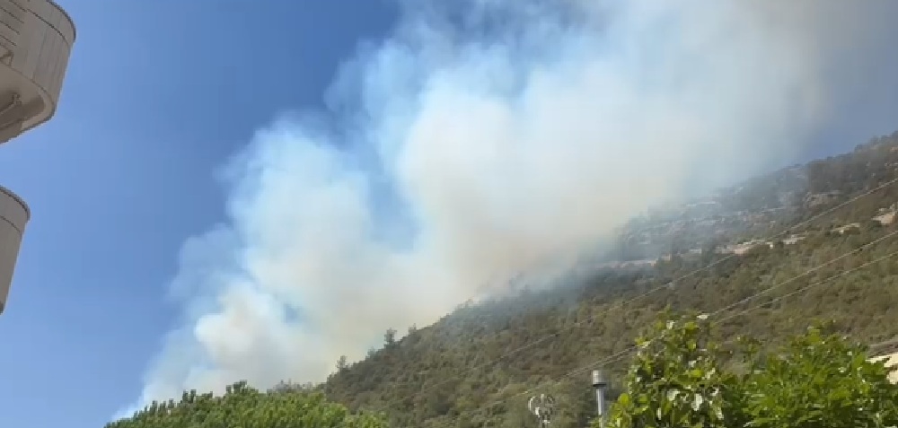 حريق هائل في جبل سير في رشميا! (فيديو)
