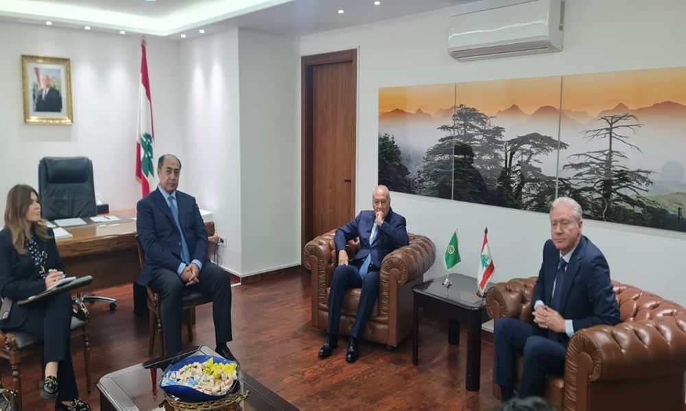 رجي يستقبل أبو الغيط