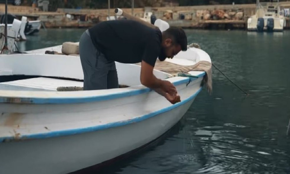 صيّادو الأسماك في الجنوب: مصائب أخرى غير إسرائيل