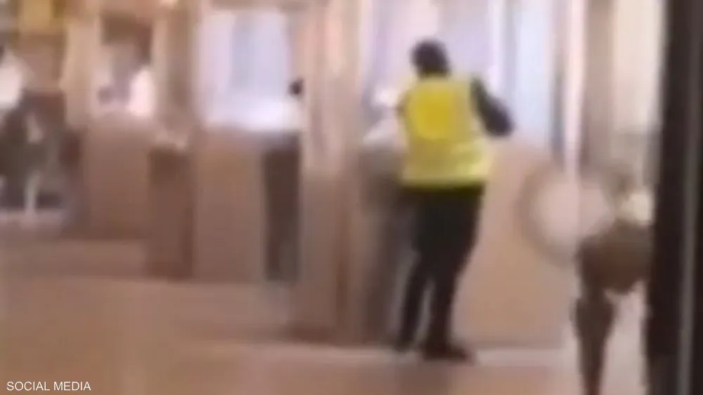 بالفيديو- لحظة سرقة اللوفر.. والشرطة تبحث عن اللصوص!