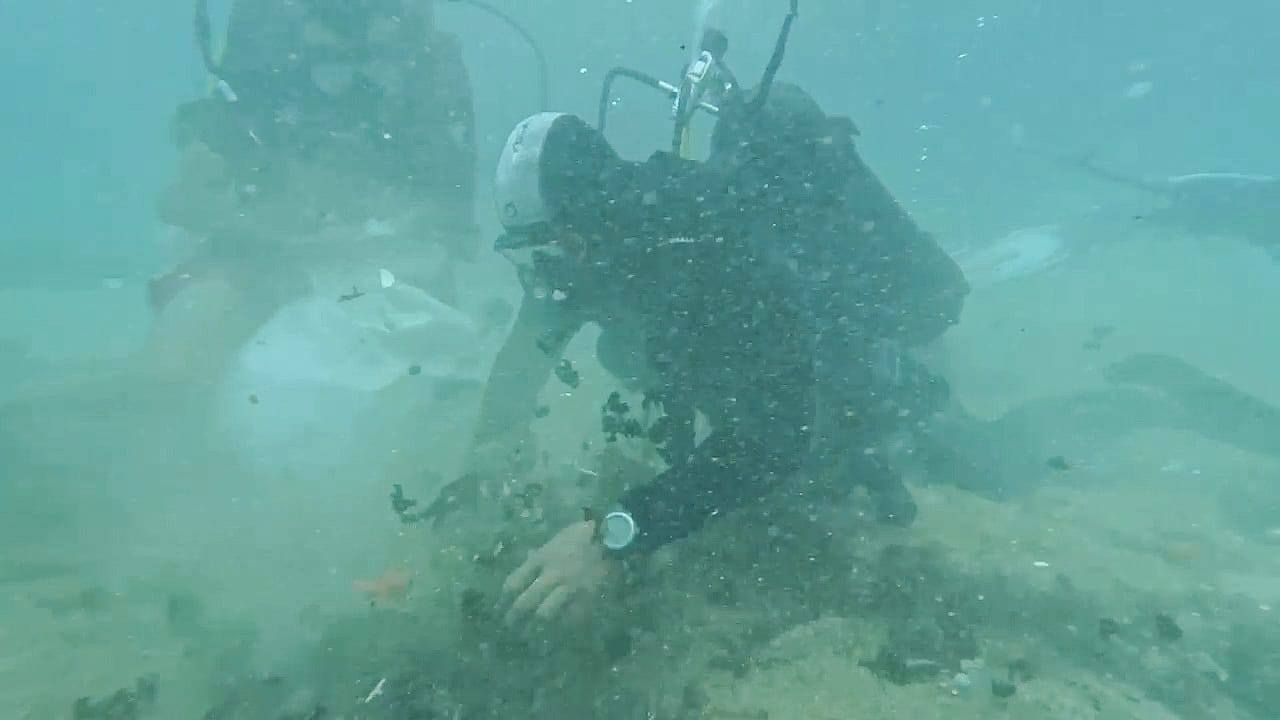 بالصور: تنظيف الشير الصخري في الروشة