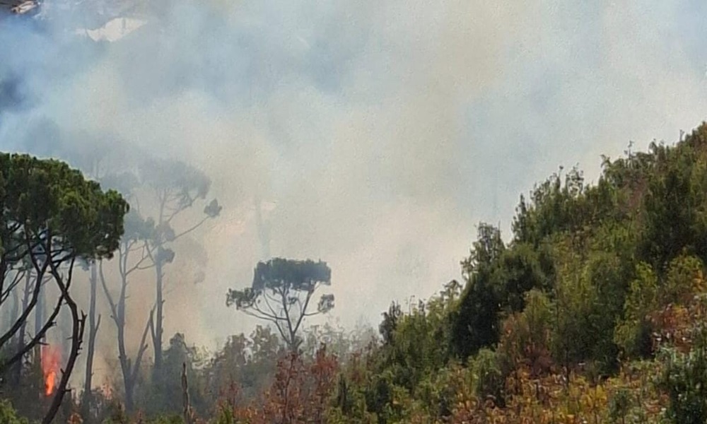 بالصورة: حريق هائل في أحراج بنابيل يقترب من المنازل