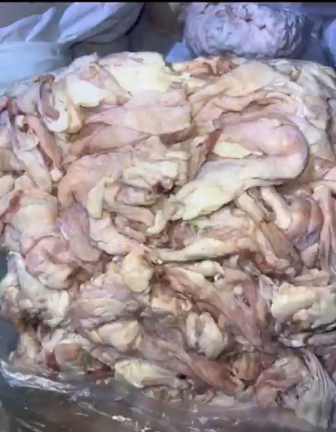 في بعلبك.. ضبط 3 أطنان من الشحوم الحيوانية الفاسدة! (صور)