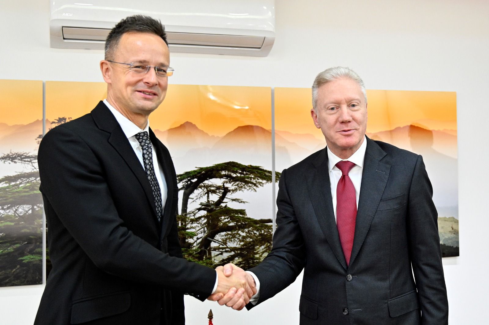 سيارتو: سنخصص مليون ونصف مليون يورو لإعادة تسليح الجيش اللبناني