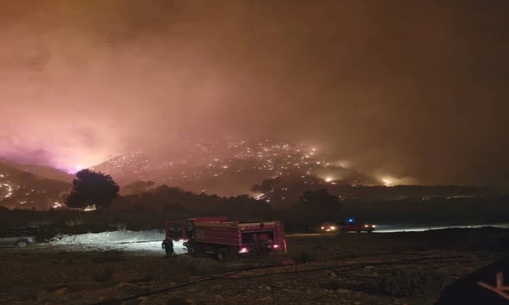 بالفيديو: حرائق غابات هائلة تهدد سكان ولاية جزائرية