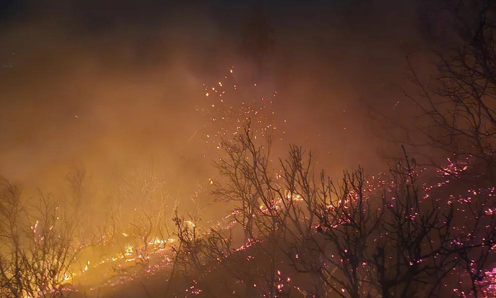 بالصور: حريق هائل يلتهم آلاف أشجار السنديان والصنوبر في شدرا!