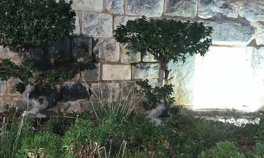 إليكم حقيقة ظهور النور قرب قبر القديسة رفقا في جربتا