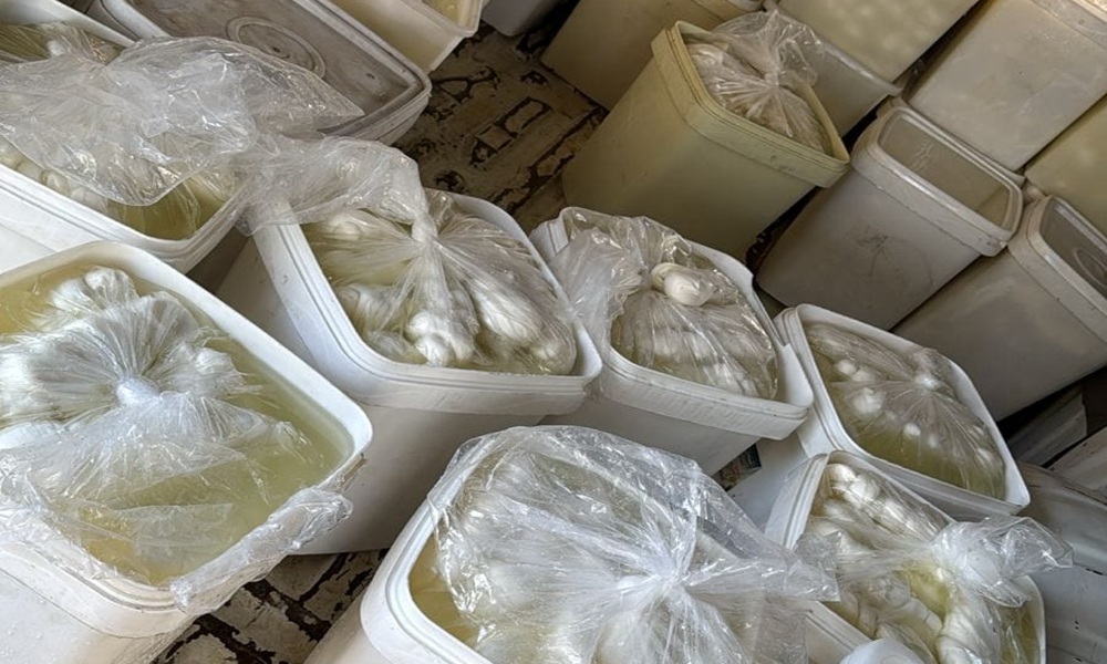 ضبط أجبان سورية مهربة في صيدا (صورة)