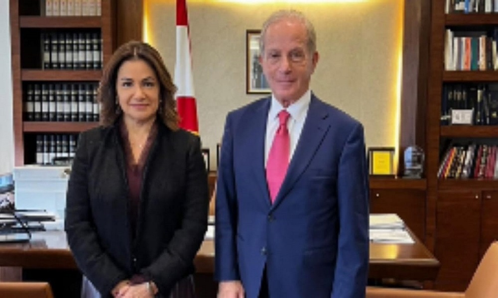 السيّد بحثت مع السفير الأميركي في التطوّرات السياسية